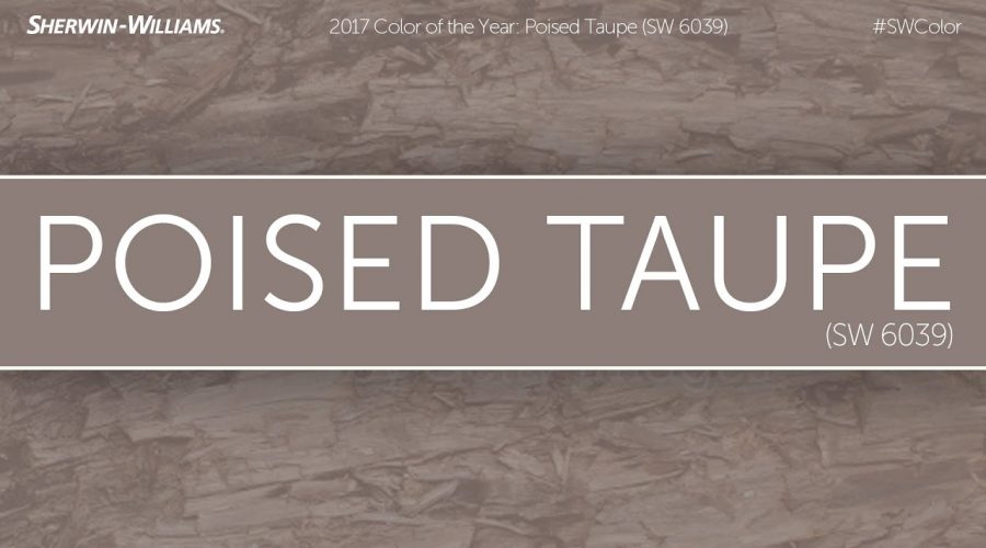 2017 Color of the Year: Poised Taupe – Sherwin-Williams