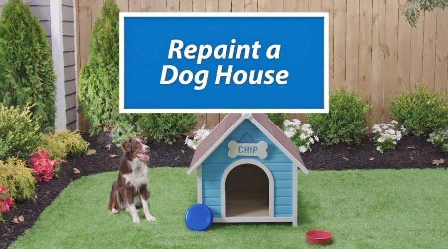 Ask SW : How To Repaint a Dog House – Sherwin-Williams